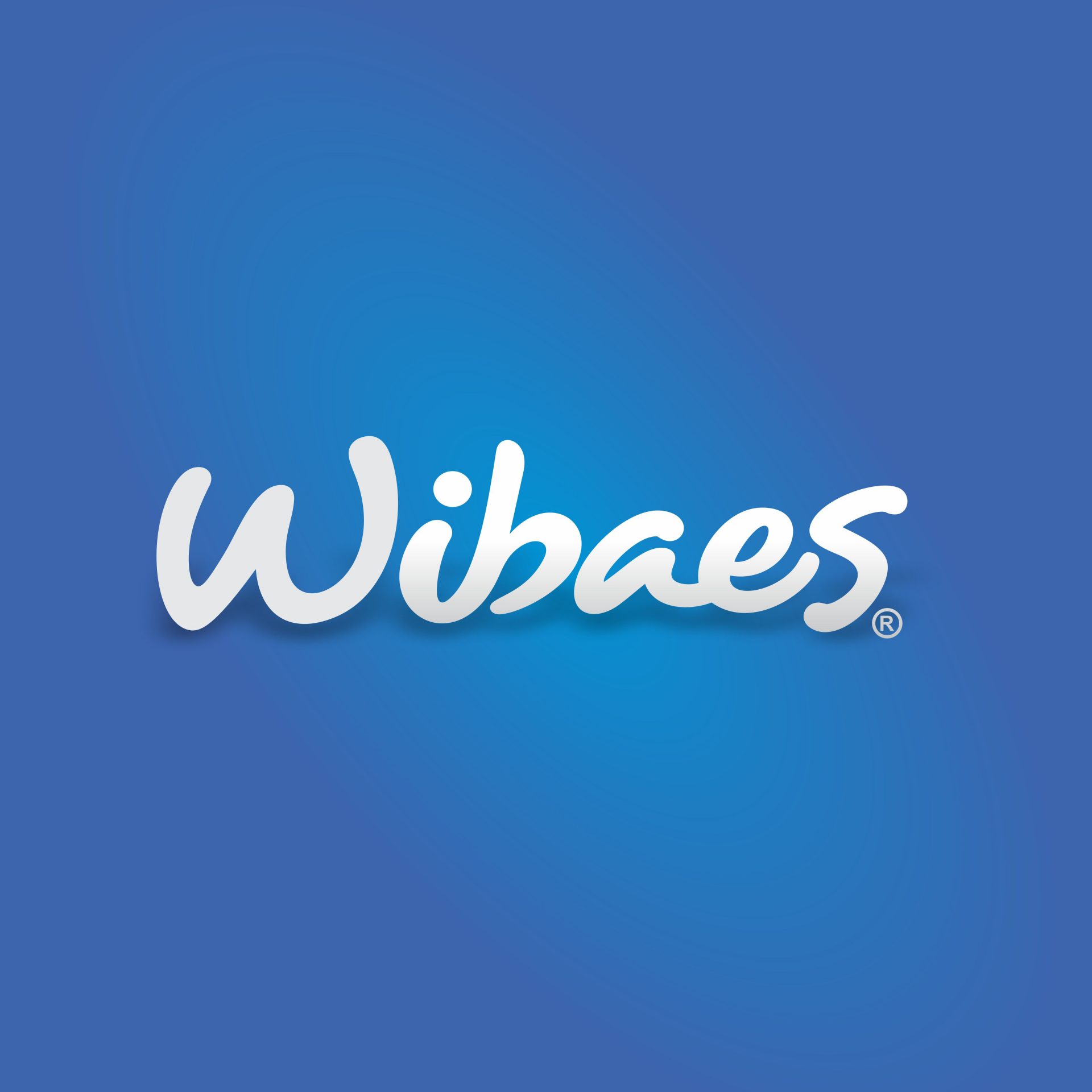 alt-area-clientes-wibaes