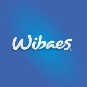 alt-area-clientes-wibaes