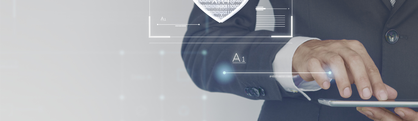 alt_ciberseguridad_wibaes copia
